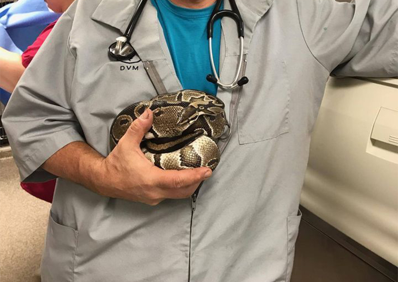 East Holmes Veterinary Clinic Berlin veterinarians